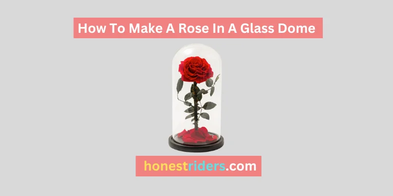 how to make a rose in a glass dome